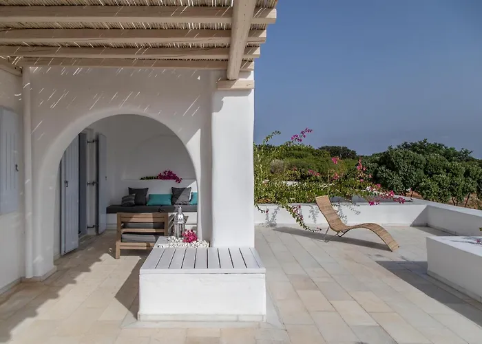 The Collection فيلة