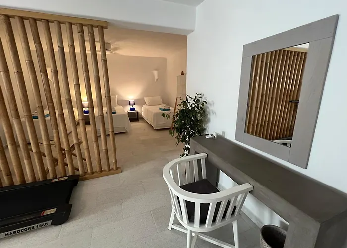 The Collection فيلة