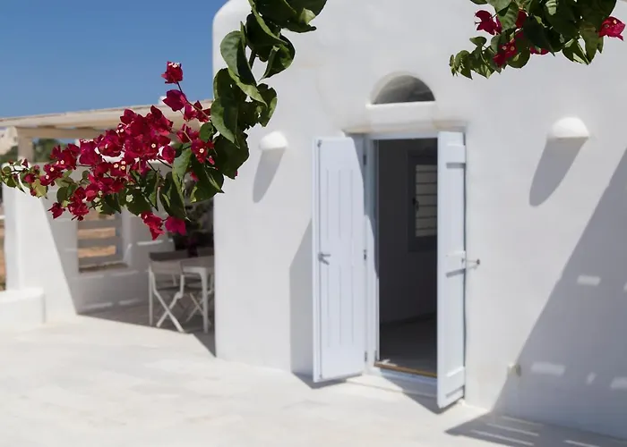 The Collection فيلة