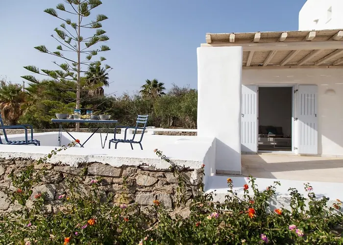 The Collection فيلة