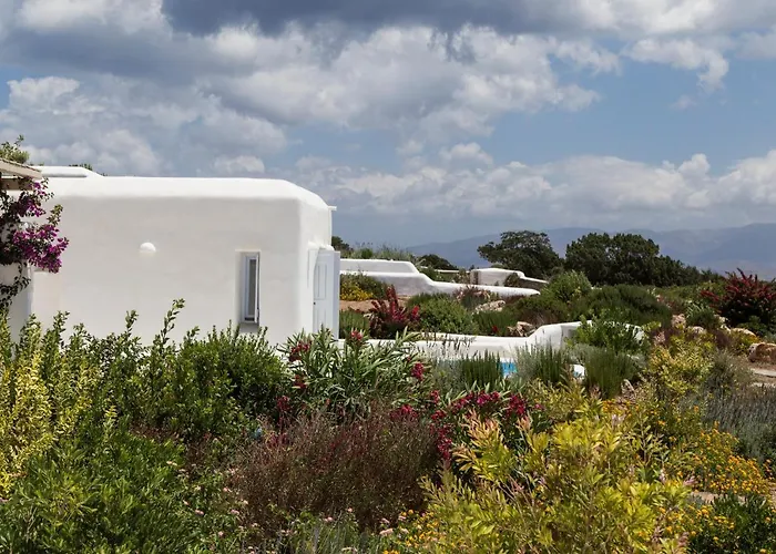 The Collection سانتا ماريا